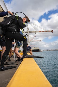 a group of scuba divers on a dock